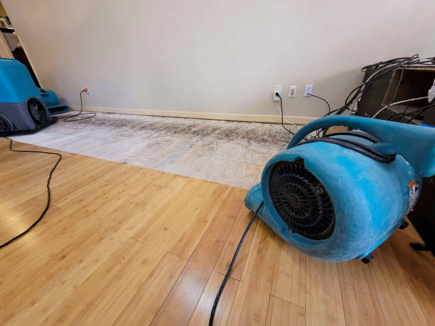 Professional Water Damage Repair technician working in Bristol, TN